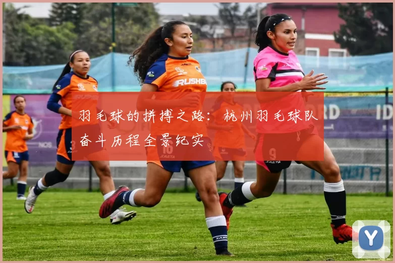 羽毛球的拼搏之路：杭州羽毛球队奋斗历程全景纪实