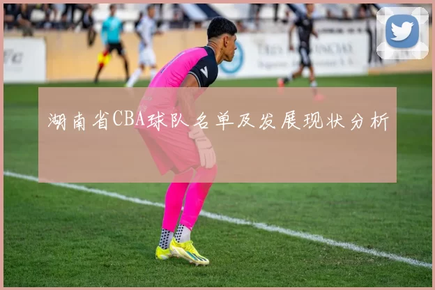 湖南省CBA球队名单及发展现状分析