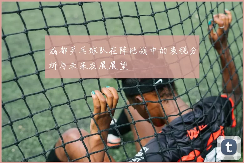 成都乒乓球队在阵地战中的表现分析与未来发展展望