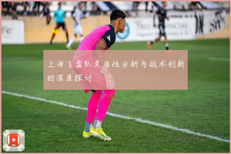上海飞盘队灵活性分析与战术创新的深度探讨