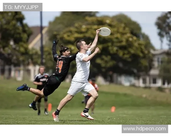 杨强独家分享飞盘技巧与心得体会助你轻松掌握这项运动的乐趣与魅力