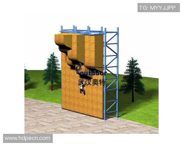 武汉攀岩队个人能力分析与表现评估的综合研究报告