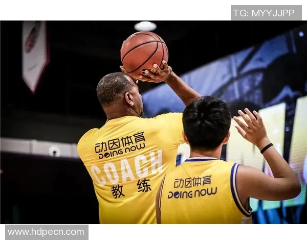 赵强深度解析篮球技巧与心得分享助你提升球技的独家经验